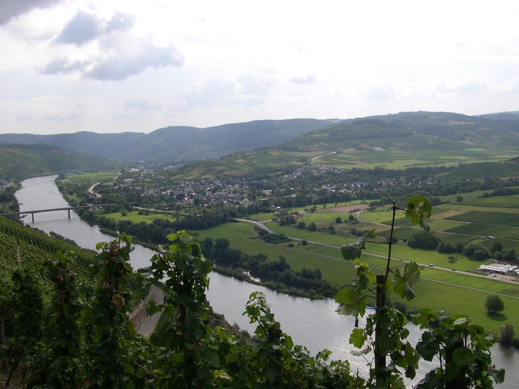 Juffer Flair Restaurant Gaestehaus Brauneberg Cameră foto